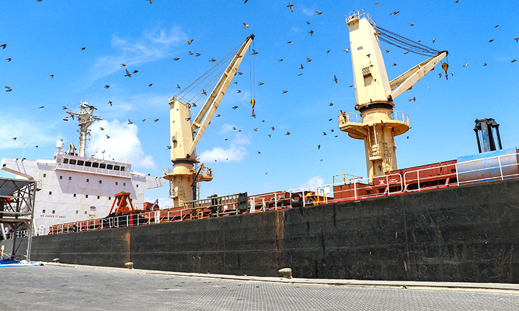 Yemen’s Houthis target ‘US ship Pinocchio’ in Red Sea