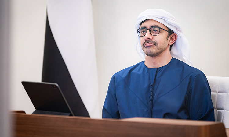 UAE Foreign Minister participates in virtual ministerial on Gaza maritime aid corridor