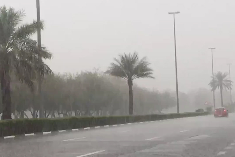 Parts of UAE witness light rain, lowest temperature recorded at 23°C