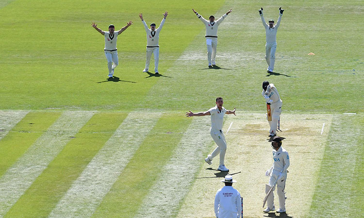 Hazlewood grabs 5 wickets as Australia take control of second Test against New Zealand