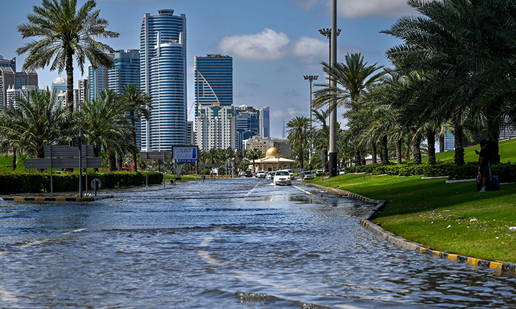 Sharjah Municipality deploys 65 community service patrols to rain-affected areas