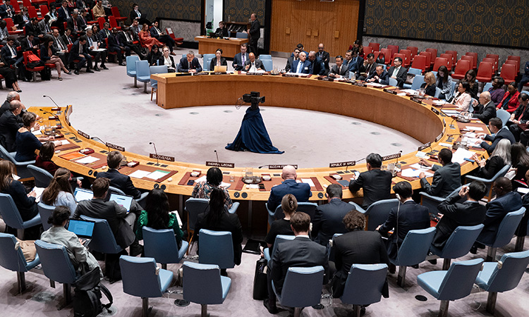 UAE regrets Security Council failure to adopt full UN membership for Palestine