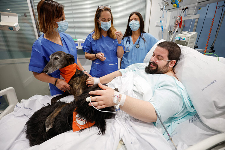 Therapy dogs in Spanish hospital lift mood of ICU patients