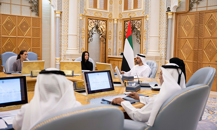 Zayed Humanitarian Legacy Initiative priorities discussed