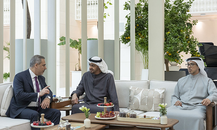 UAE President, Turkish foreign minister discuss ties and regional issues 