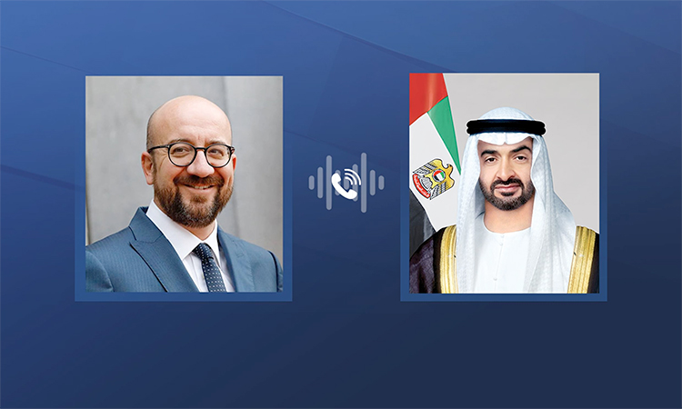 UAE President, European Council chief discuss regional developments