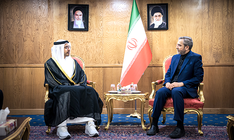 Abdullah Bin Zayed attends official mourning ceremony of late Iranian President