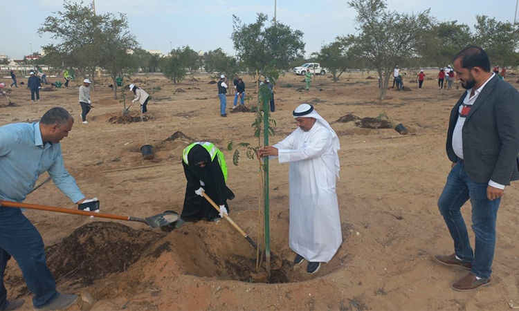 Abu Dhabi City Municipality completes planting of 3,000 'Ghaf' seedlings