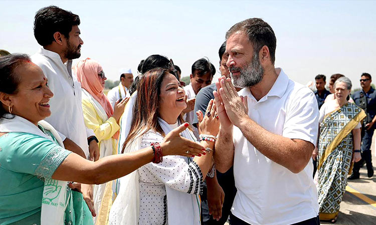 Rahul Gandhi to contest elections from family borough Raebareli