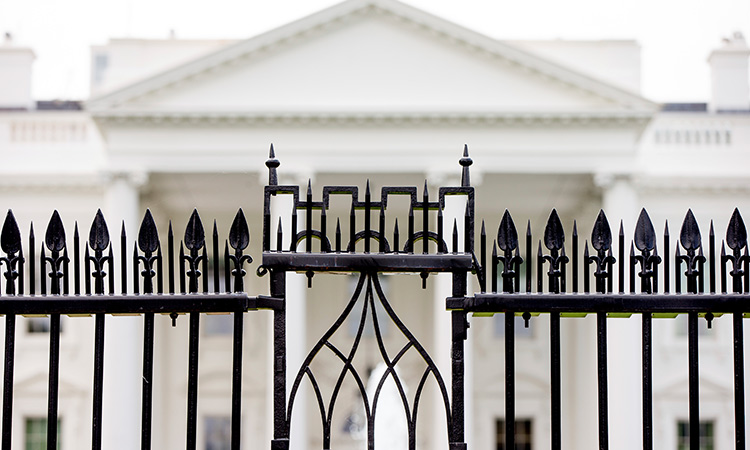 Driver dies after ramming car into White House gate