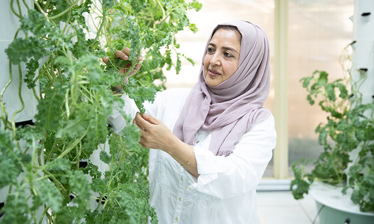 Emirati woman wins Dhs 50,000 in ‘Dubai’s Best Homegrown Produce Competition’