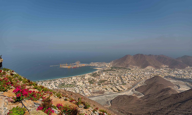 Khorfakkan, Eastern Region of Sharjah produce finest mangoes due to nature