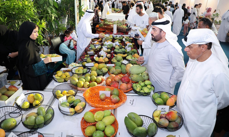 Mango Festival concludes on sweet note in Khorfakkan