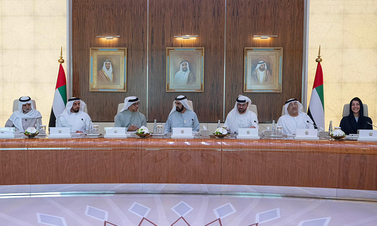 UAE Cabinet reviews achievements of national R&D, food security councils during 2023 