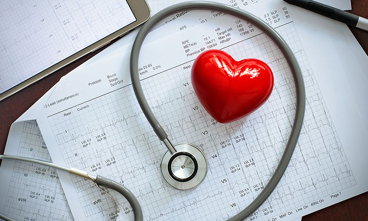 Navigating nutrition for heart health