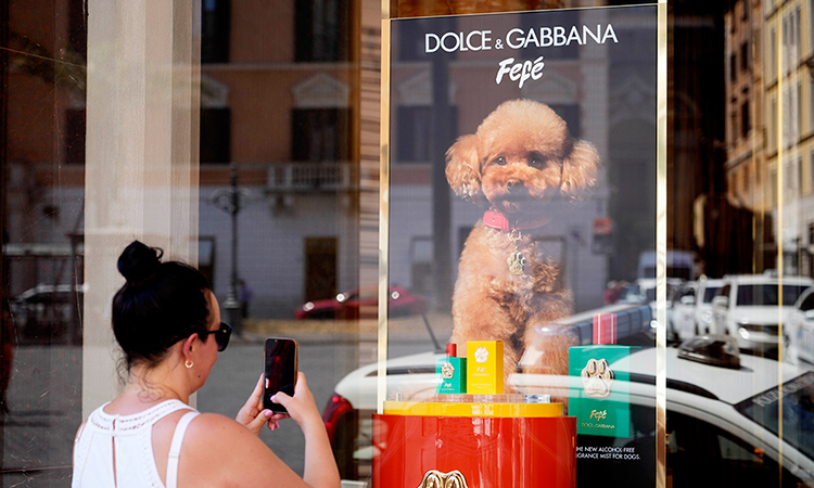 Fashion house Dolce and Gabbana launches luxury perfume for dogs