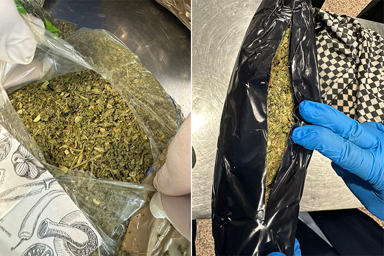 Dubai foils 13 sophisticated marijuana smuggling attempts, arrests suspects 