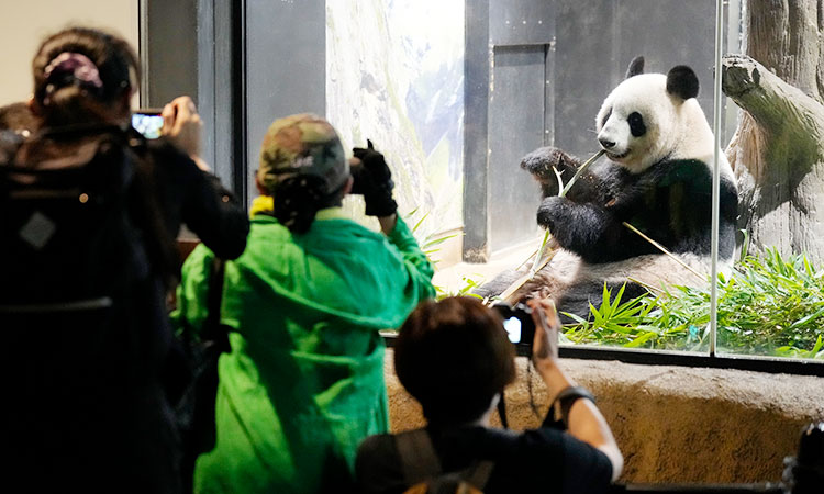 Thousands bid farewell to Tokyo zoo pandas before return to China