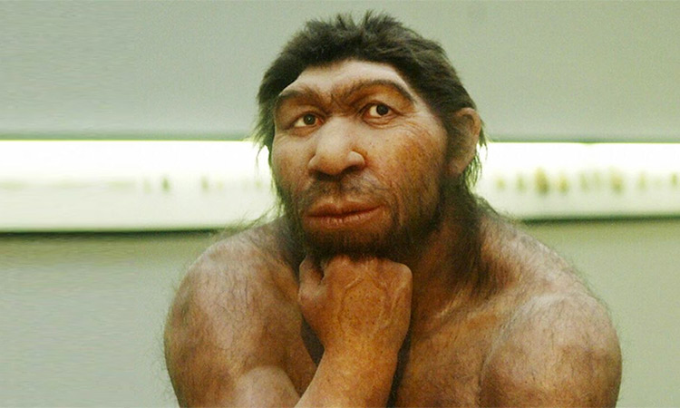 Discovery on human evolution has major implications