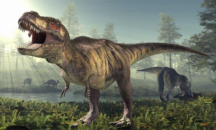 The hunt for a 50-million-year-old dinosaur is on