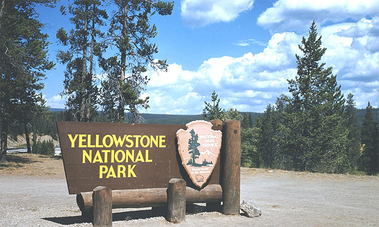 When Yellowstone reopens, let’s see it differently