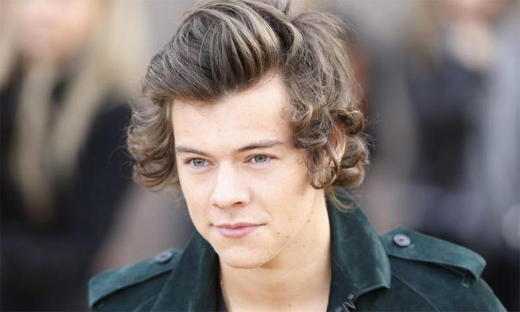 Harry Styles has got it right about Twitter