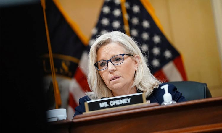 Liz Cheney in 2024? Deep scepticism emerges in key states