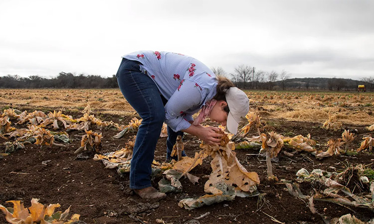 Mitigating climate change begins in small towns