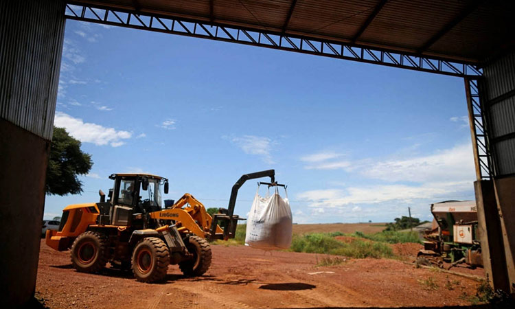 Can farmers grow soy without deforestation?