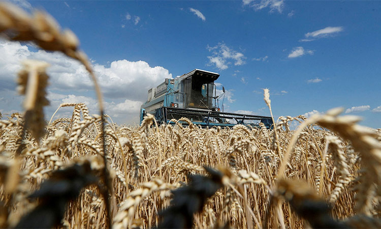  Ban on Ukrainian grain in Poland, Hungary, Slovakia