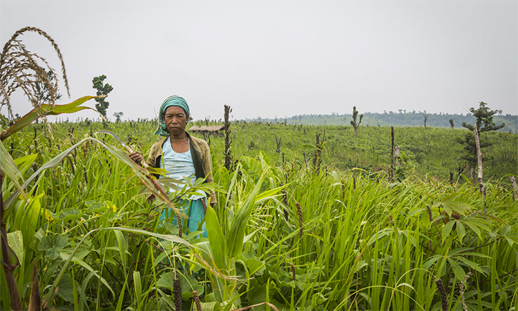 Climate resilience lessons from North-east India