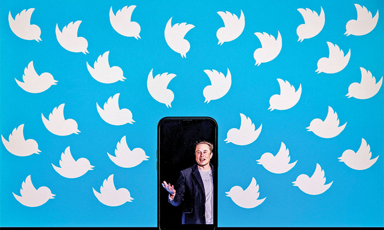 Elon Musk’s Twitter chaos came calling for me