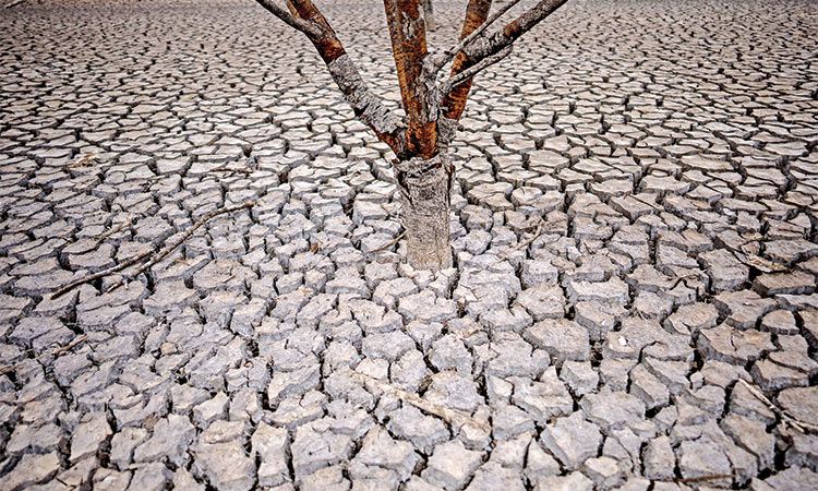 Barcelona quenches thirst with costly desalination