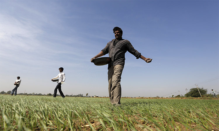 Why Indian farmers worry despite average rain