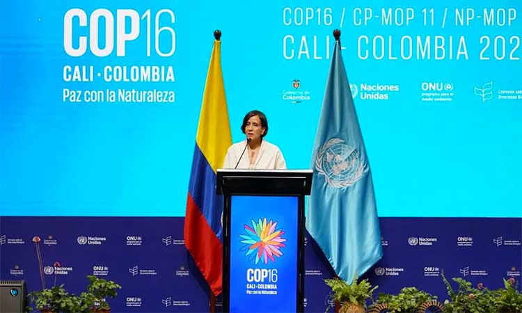 COP16 aims to develop new financing initiatives