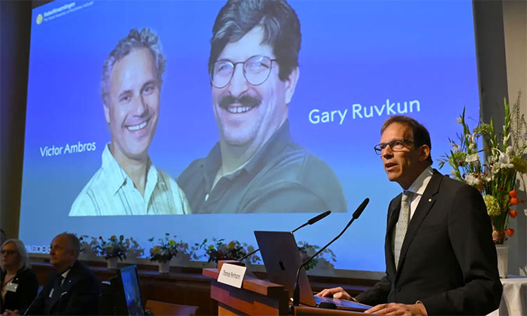 Nobel for Medicine goes to discovery of microRNA