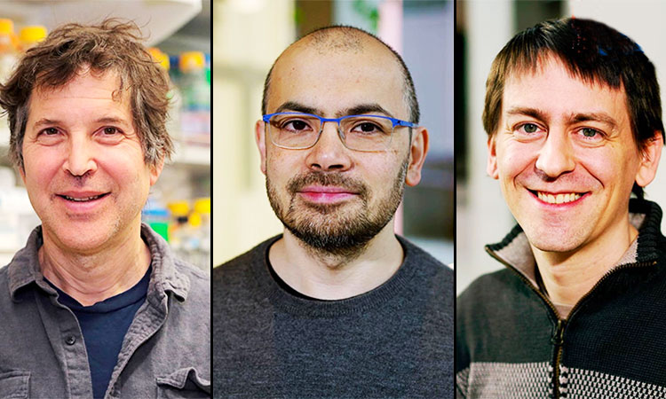 Inventors of AI tools on proteins get Chemistry Nobel