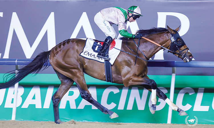 Thoroughbreds headline likely line-up for Dubai World Cup