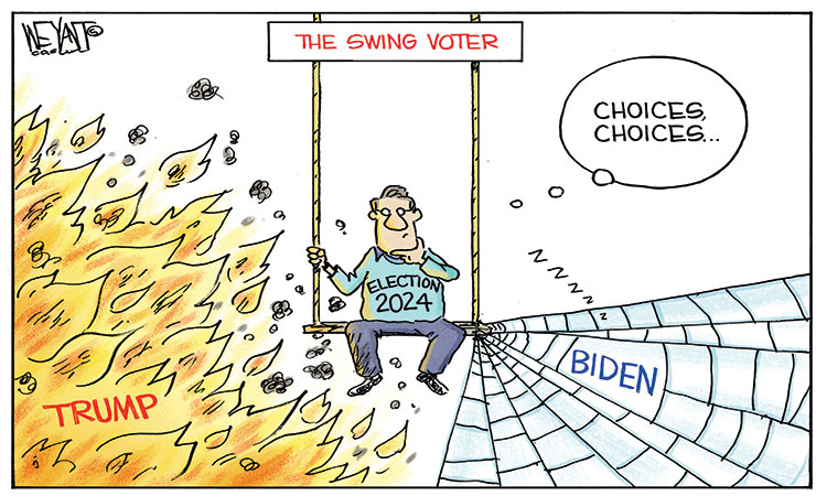 The swing voter