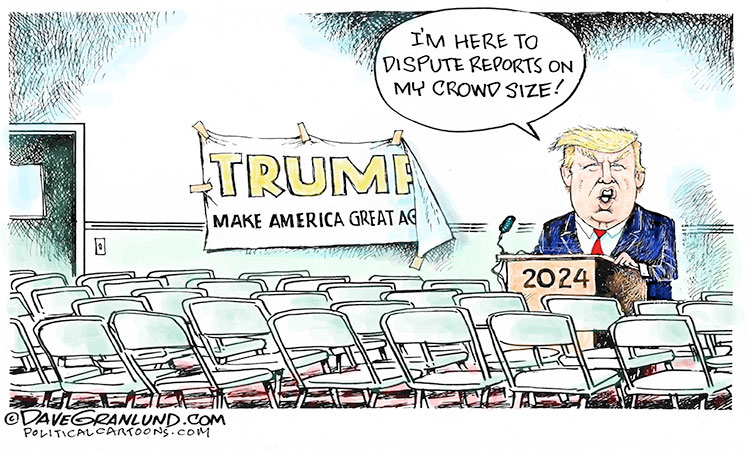 Crowd size