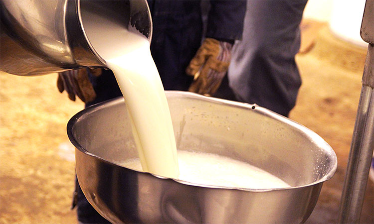 Bizarre raw milk trend is putting kids at risk