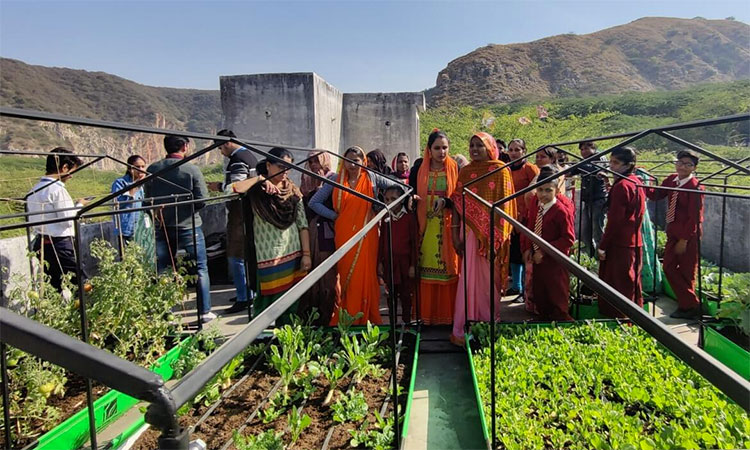 Nature-based solutions for resilient cities