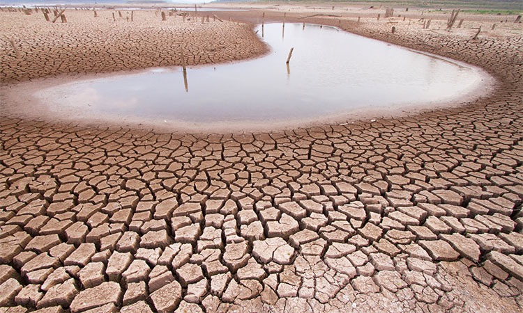 Drought in Namibia and Sicily