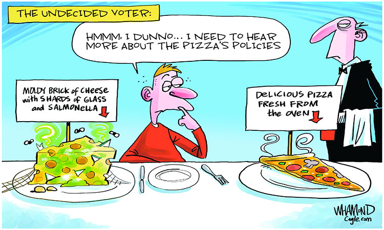 The undecided voter