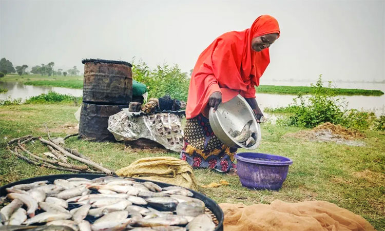 Armed with AI, Nigerian farmers act before floods