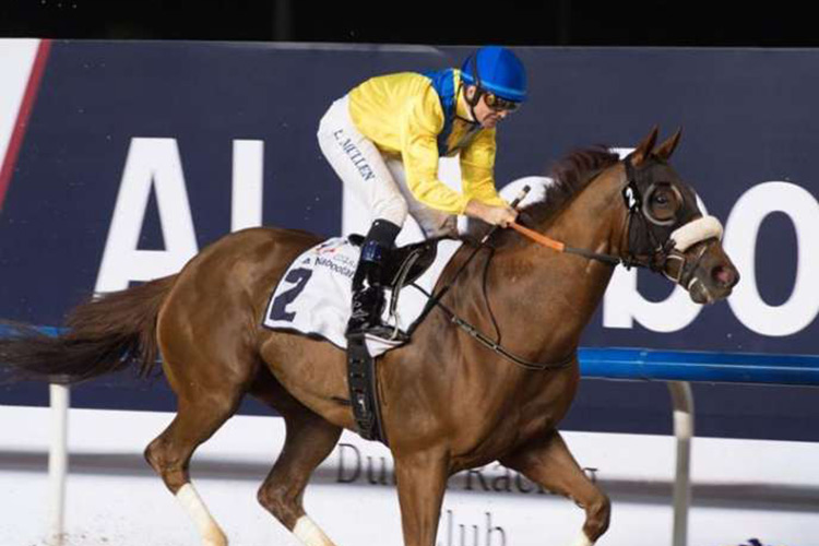 Stakes are high with two Listed races  at Jebel Ali Racecourse on Sunday