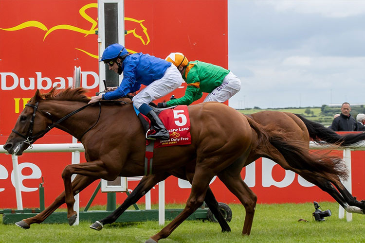 Countdown begins for 15th edition of Dubai Duty Free Irish Derby