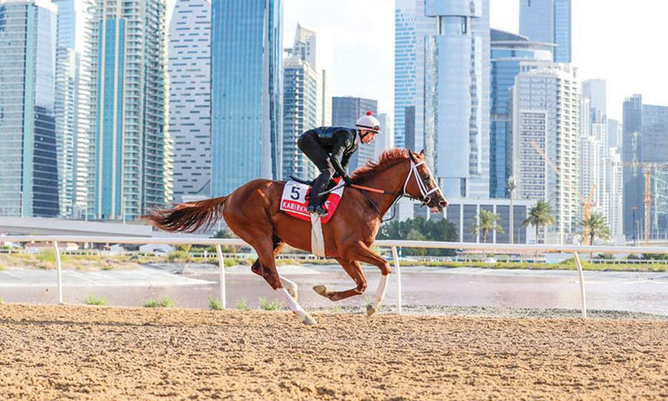 Dubai World Cup set to be  one for the history books